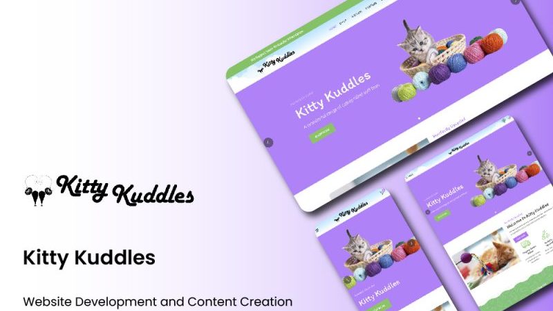 Project overview​ Kitty Kuddles — Digital Marketing Case Study — MH Tech Solutions